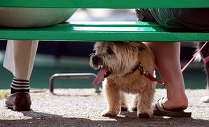Britain Basks In Sunshine As The Easter Holidays Get Underway