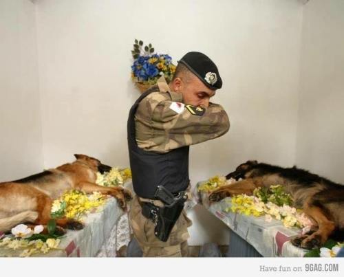 12295232_1082865545111716_2794959083229282019_n